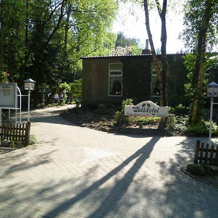 Waldhotel Surwold Экстерьер фото
