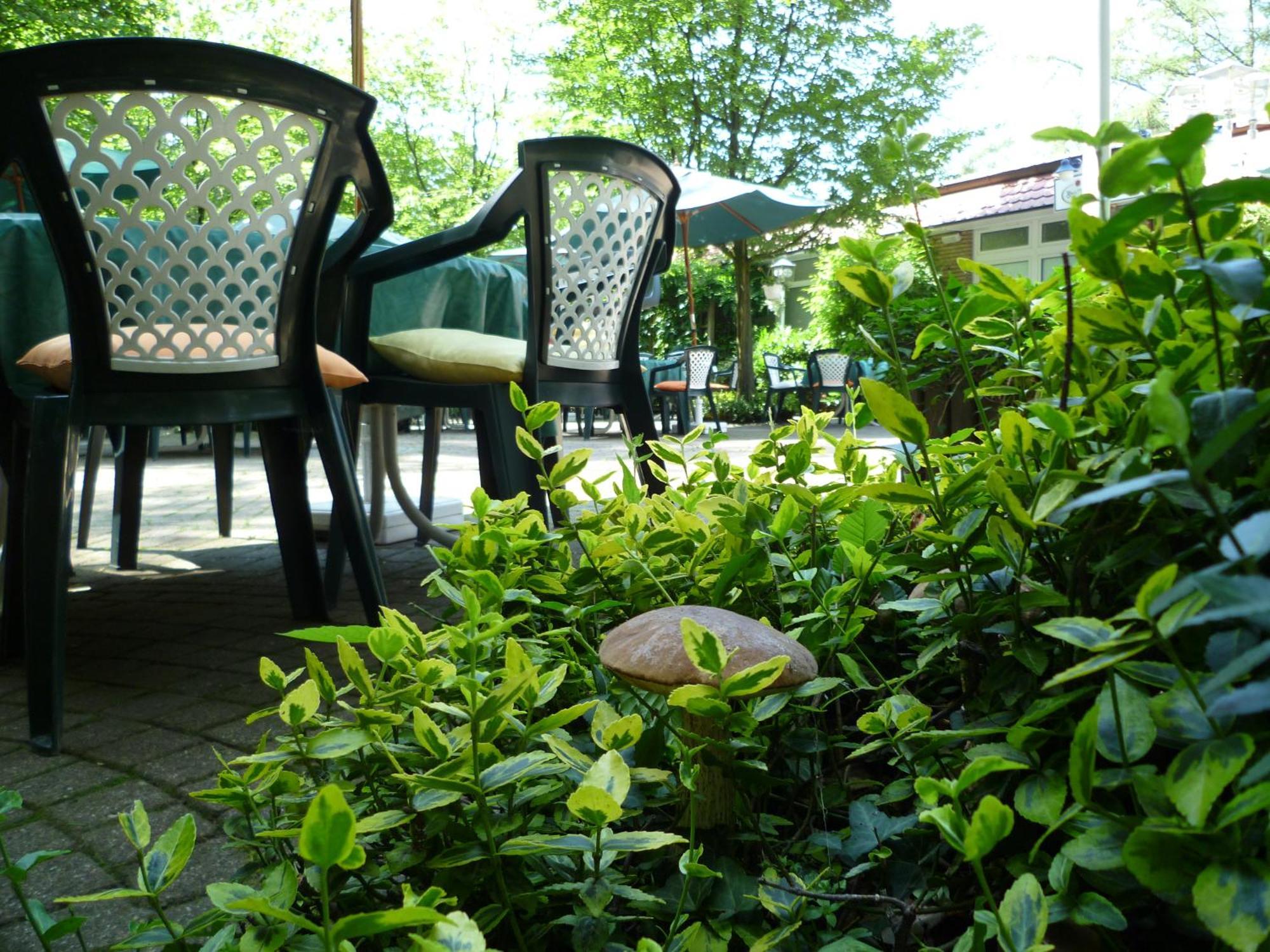 Waldhotel Surwold Экстерьер фото