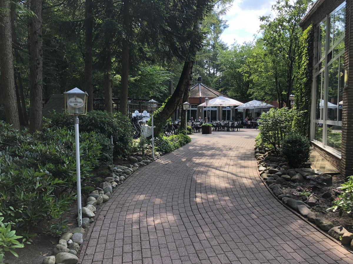 Waldhotel Surwold Экстерьер фото