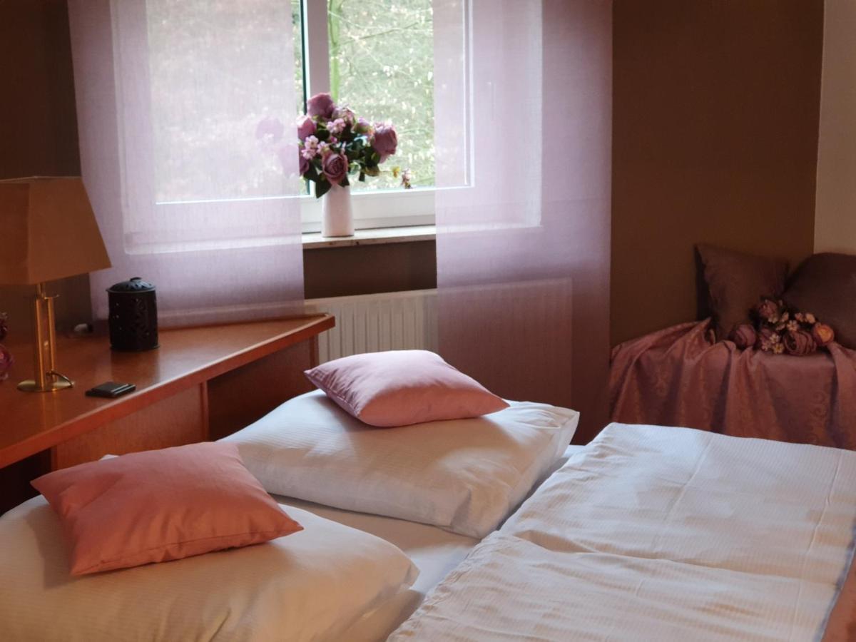 Waldhotel Surwold Экстерьер фото